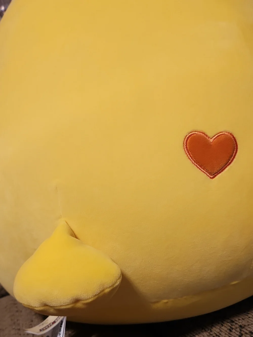 20